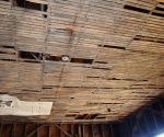 P7150004.JPG